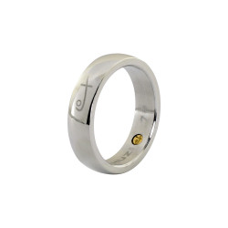 RGRS003 Polished Ring (SS)