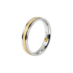 Shiny Ring Two Tone (SS) 2C