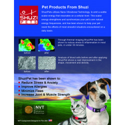 Pet Flyer